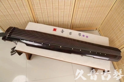 新疆小白学古琴不会指法字符，一招带你玩转古琴20240429